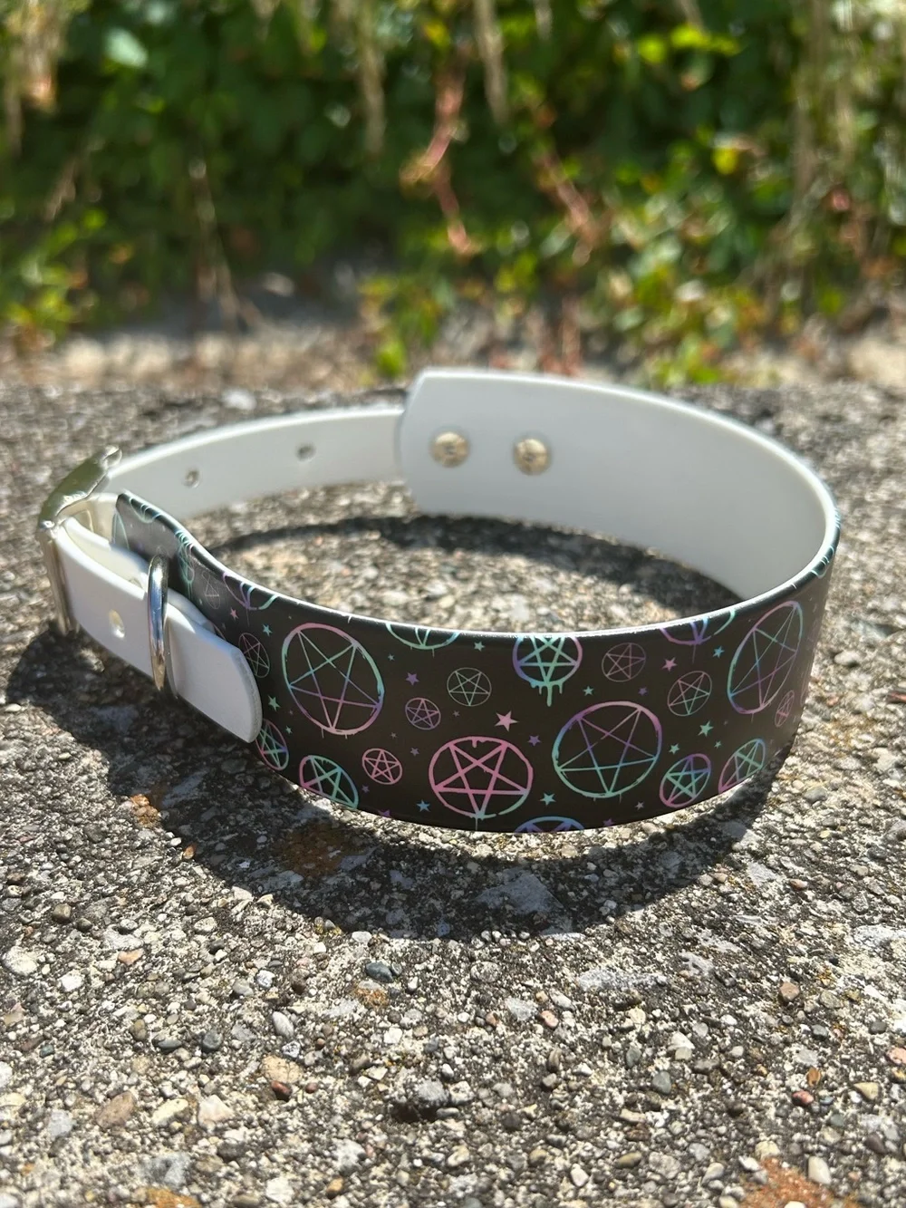 Biothane Collar -L1